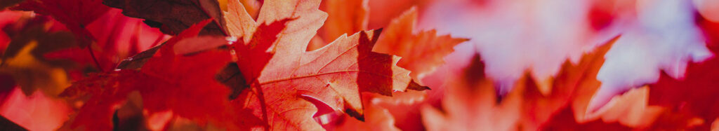 canadian immgration1